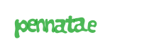 captcha txt